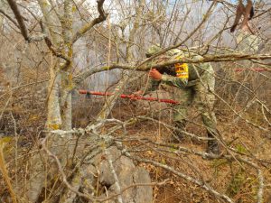 Elementos Militares apoyaron en incendios en Oaxaca y Veracruz