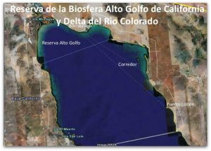 Alto golfo de California