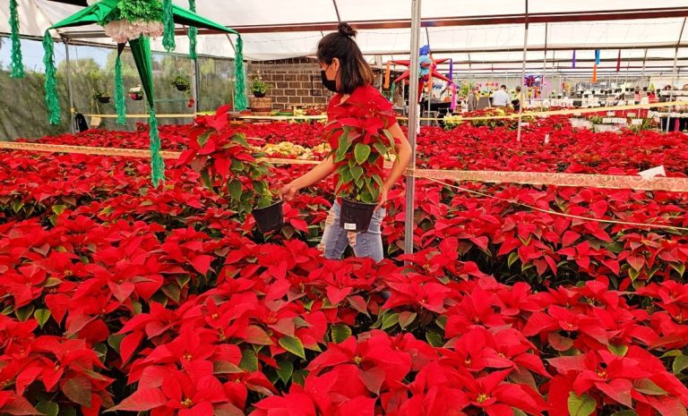 QLCZUBFFXJB7HCOLMBSYKLUTHE