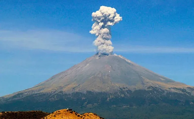 4d210d57-9acb-4223-bf58-ef55247f4750