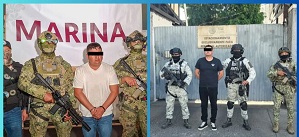 el_jardinero_el_guero_conta.jpg_1909828379