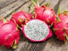 Pitahaya poblana viaja a mercados internacionales