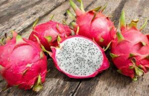 Pitahaya poblana viaja a mercados internacionales