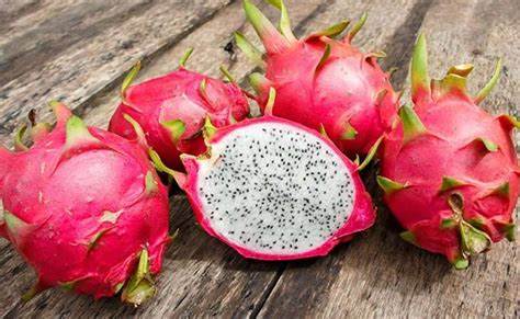 Pitahaya poblana viaja a mercados internacionales
