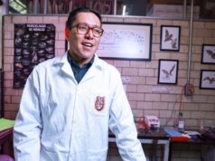 Participan investigadores del IPN en descubrimiento sobre origen de los murciélagos, publicado en Nature