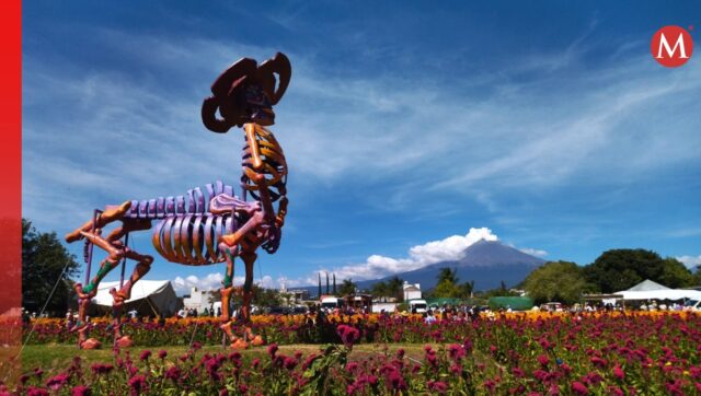 valle-catrinas-atlixco-puebla-arte